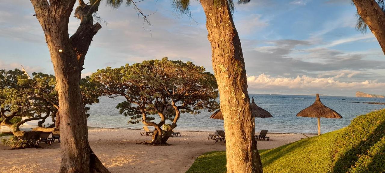 Luxury Villa L'Ile Maurice بوانت أو كانونيرس المظهر الخارجي الصورة