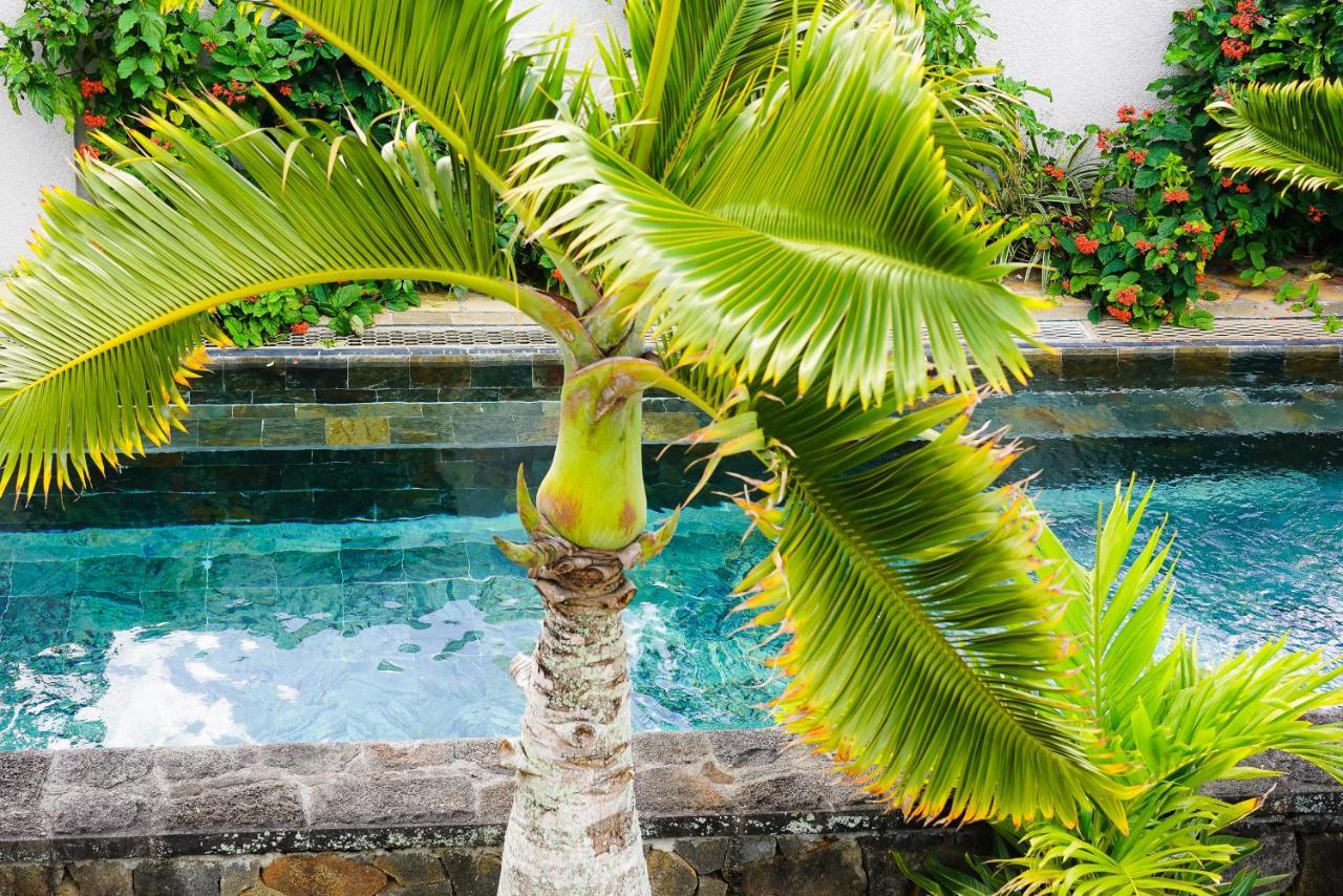 Luxury Villa L'Ile Maurice بوانت أو كانونيرس المظهر الخارجي الصورة